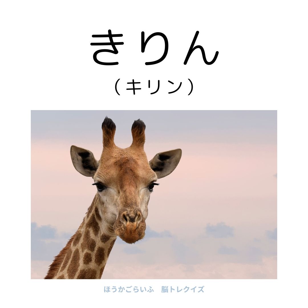 高齢者向け（無料）言葉の並び替えで脳トレしよう！文字（ひらがな）を並び替える簡単なゲーム【動物の名前】健康寿命を延ばす鍵